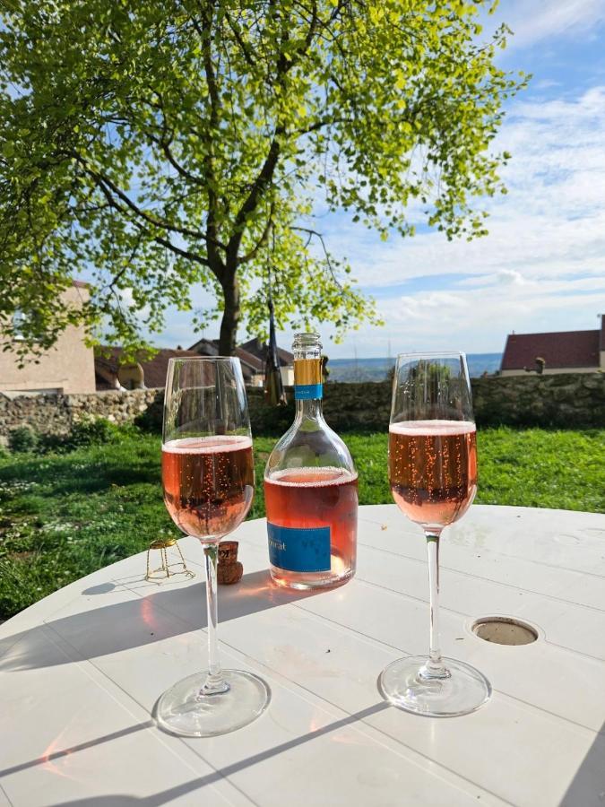 Lodge De La Vigneronne Chatillon-sur-Marne Экстерьер фото